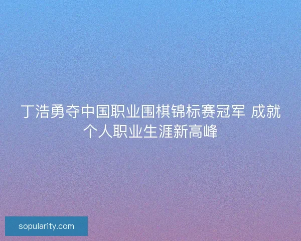 丁浩勇夺中国职业围棋锦标赛冠军 成就个人职业生涯新高峰